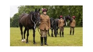 Household Cavalry: Runaway Horse To Join King’s Birthday Parade