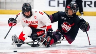 Canada Opens Para Ice Hockey Worlds With 19-goal Thrashing Of Japan In Calgary | CBC Sports