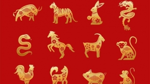 June 10-16, 2024: 5 Chinese Zodiac Signs Likely To Have Good Luck