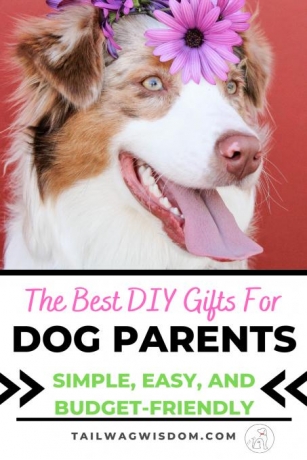 11 Great DIY Gifts For Dog Moms (She’ll LOVE These!)