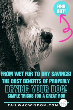 Save Big When You Dry Your Dog! 