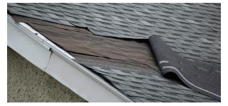 What Are The Signs I Need A Roof Replacement?