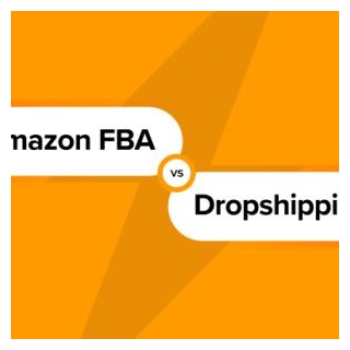 Amazon FBA Vs. Dropshipping: The Best Option For Online Stores