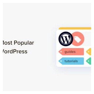 How To Display Most Popular Tags In WordPress (2 Easy Methods)