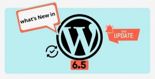 A Closer Look At The Latest WordPress 6.5 Features