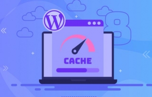 Pros And Cons: A Comprehensive Guide To WordPress Cache Plugins