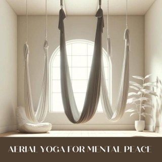 Aerial Yoga: A Soaring Impact On Mental Health With The Pink Lotus Academia