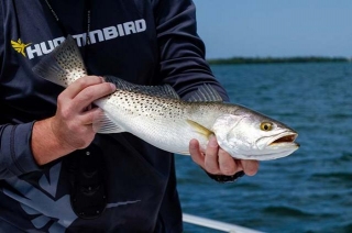 What Are The Top Rainbow Trout Fishing Spots In Florida?