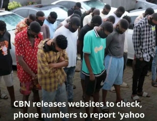 CBN Provides Hotlines And Websites To Combat Illegal Financial Activities