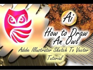 Creating An Owl In Adobe Illustrator: Sketch To Vector Tutorial