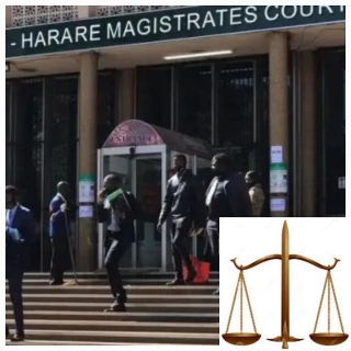 A Zimbabwe Man 19, Sentenced To12 Months In Imprisonment For Impregnating His 14 Year Old Younger Sister.