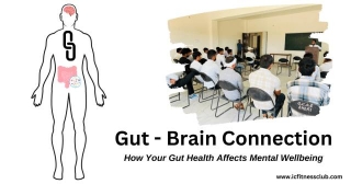 Understanding The Gut-Brain Connection: How Your Gut Health Affects Mental Wellbeing