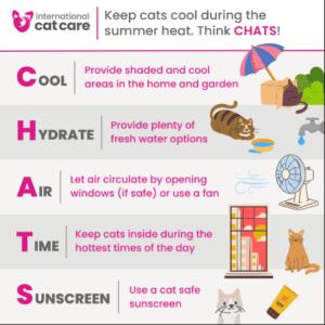 Tips for Keeping Cats Safe in Unpredictable Weather: Heatwaves, Floods,and Winter