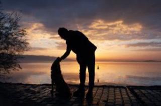 50+ Consoling Sympathy Quotes For The Loss Of A Dog