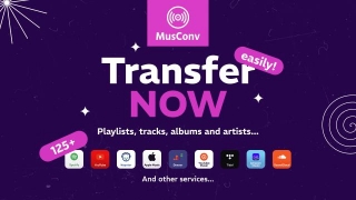 Spotify Web Player In 2024 | MusConv Review