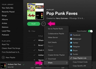 How Do I Share My Spotify Playlist With One Person? MusConv