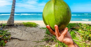 Unveiling The Extraordinary Health Benefits Of Coconut Water