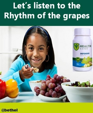 Healthgarde Defender - Let's Listen To The Rhythm Of The Grapes