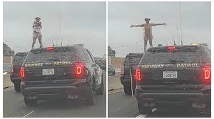 Bizarre End To L.A. Police Chase: Woman Strips Naked On Freeway