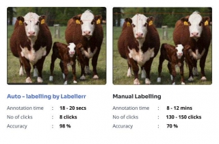 Save Cost And Time  For Livestock Annotation With Labellerr