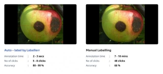Precise Fruit Disease Segmentation With Labellerr