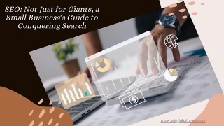 SEO: Not Just For Giants, A Small Business's Guide To Conquering Search