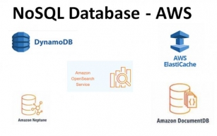 The Different Types of No-SQL Databases in AWS