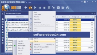 Ant Download Manager Pro Software Free Download