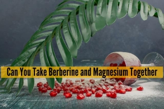 Can You Take Berberine And Magnesium Together?