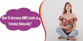 How To Increase AMH Levels In Females Naturally?