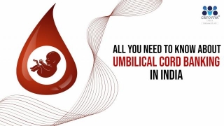 All You Need To Know About Umbilical Cord Banking In India