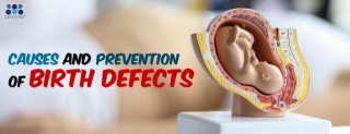 Causes And Prevention Of Birth Defects