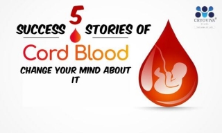 5 Success Stories To Change Your Mind About Cord Blood Stem Cells