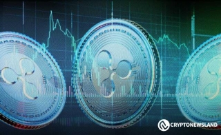 XRP User Profits By Switching To XRPL From Traditional Exchanges
