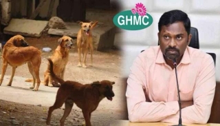 Dog Bite Incident Recorded On CCTV Days After GHMC Refused To Take Action