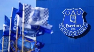 Everton's Appeal: Reduced Points, Lingering Concerns Raise Questions