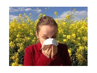 A  Guide To Sinusitis Symptoms, Causes, And Effective Treatments