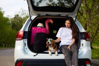 Traveling Safely: Preparing Your Pet For Stress-Free Adventures