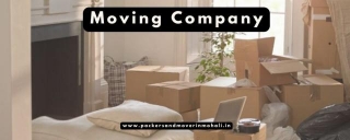 Top 4 Benefits Of Hiring Packers And Movers In Panchkula
