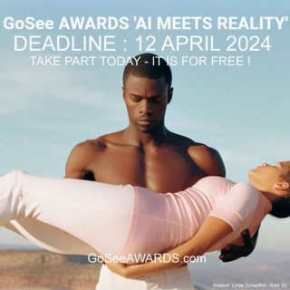 NEWS BLOG UPDATE SALON: GoSeeAWARDS - Deadline : 12 April '24 - Take Part Today, It Is For Free !