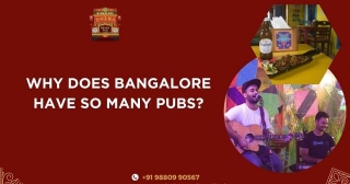 Why Does Bangalore Have So Many Pubs?