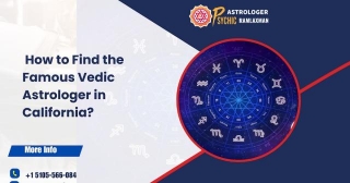 How To Find The Famous Vedic Astrologer In California?