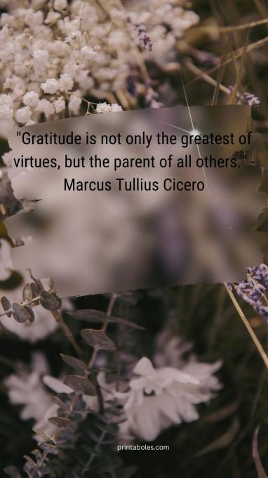 40 Printable Images of Gratitude Quotes