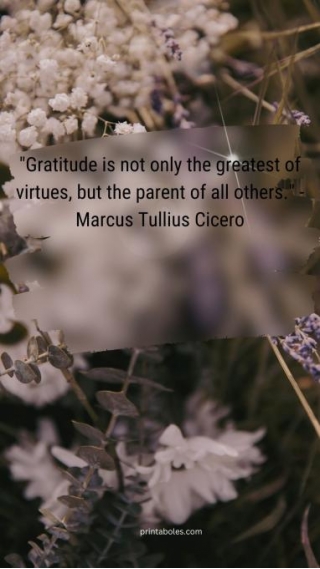 40 Printable Images Of Gratitude Quotes