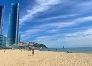 What Is Busan Famous For? 16 Reasons It Is Known For!