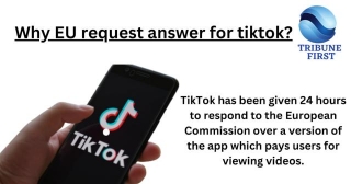 Why EU Request Answer For Tiktok?