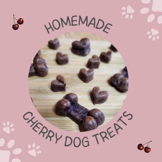 Delicious Homemade Cherry Dog Treats: A Complete Recipe Guide