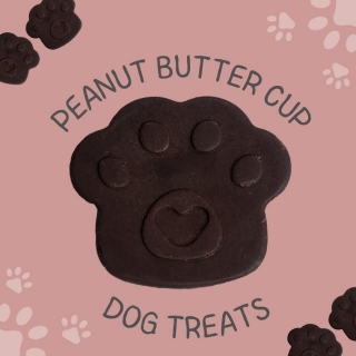 Canine Confections: Homemade Recipe For Dog-Safe Peanut Butter Cups
