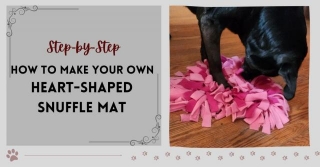 Step-by-Step: How To Make Your Own Heart-Shaped Snuffle Mat