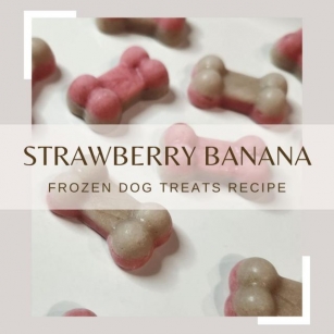 Deliciously Cool: Strawberry Banana Frozen Dog Treats Recipe
